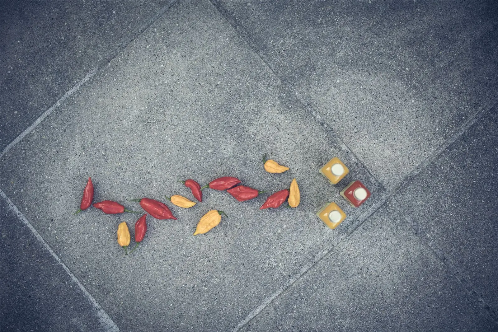 Geerntete Chilis auf Beton