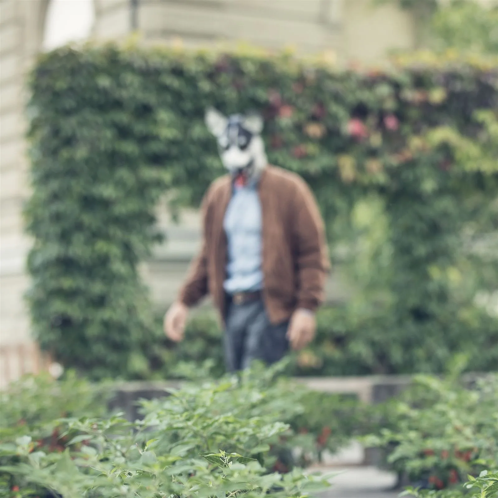 Der Jungle Døg — die Ikone